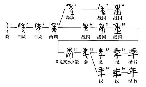 年的古字|年的字源字形